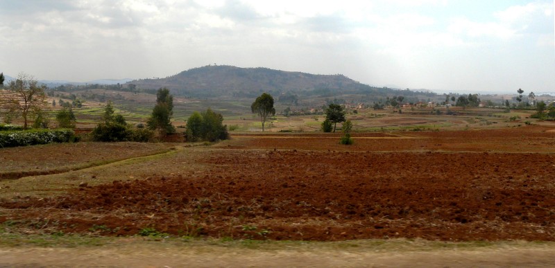 MA06063 copie.jpg